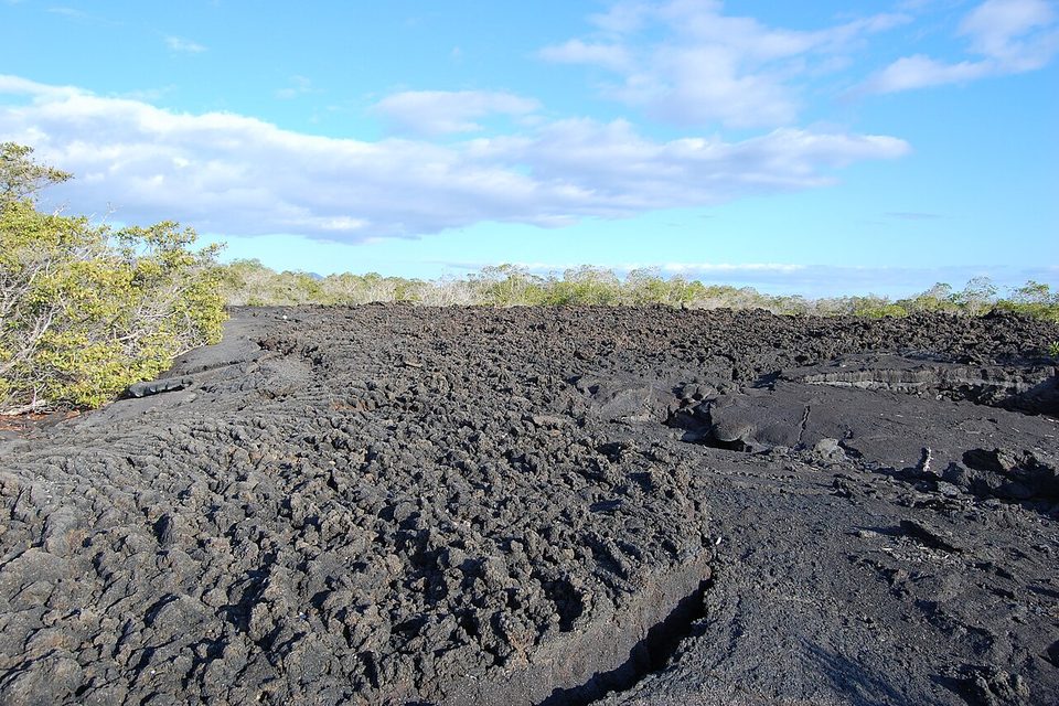 Rough black lava ground with green shrubs growing at its edge, under a blue sky with cloud