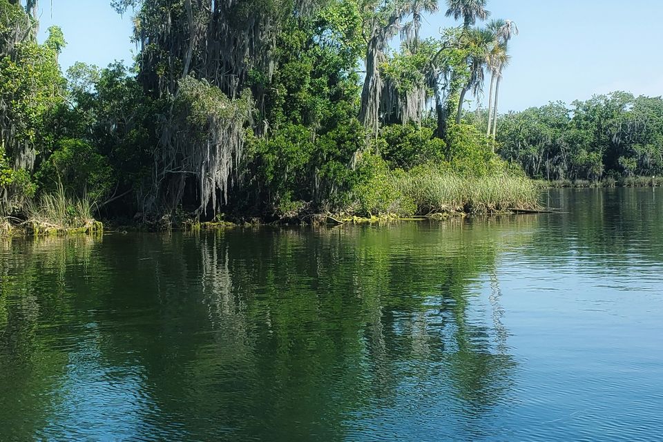 Clear water in a bay edged with palms and oaks hung with Spanish moss