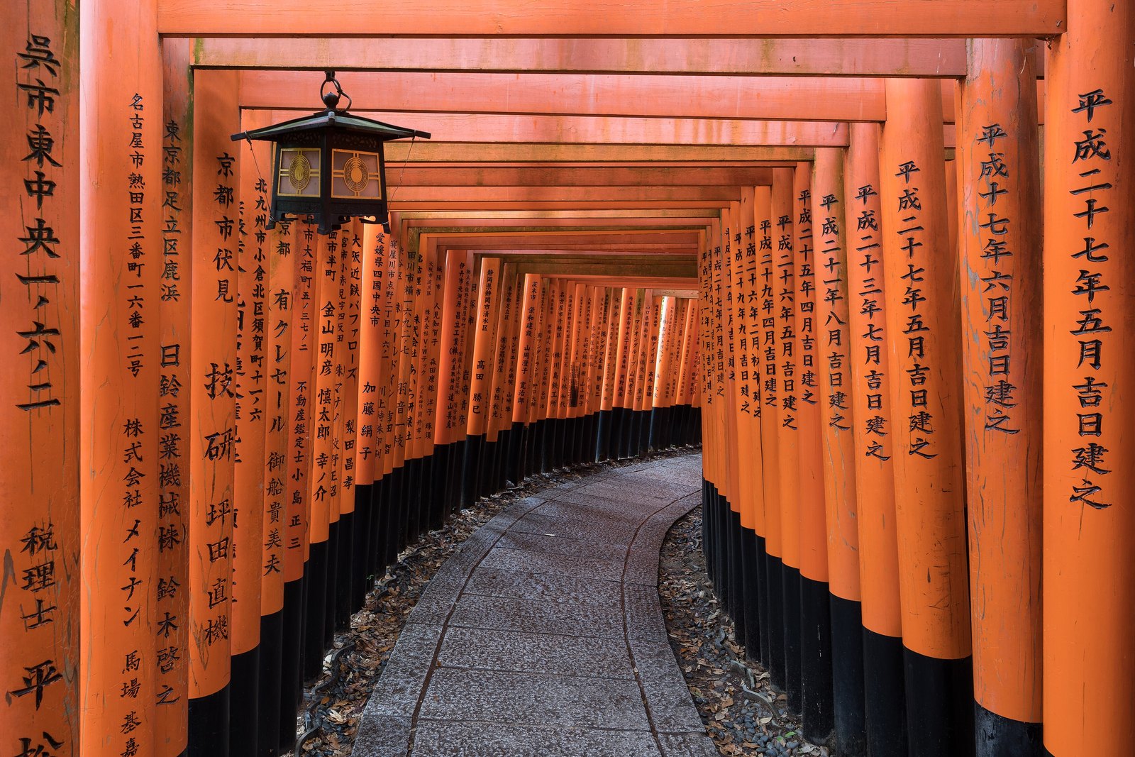 A curving stone path running through a tunnel of closely spaced orange torii gates, with a single lantern hanging overhead