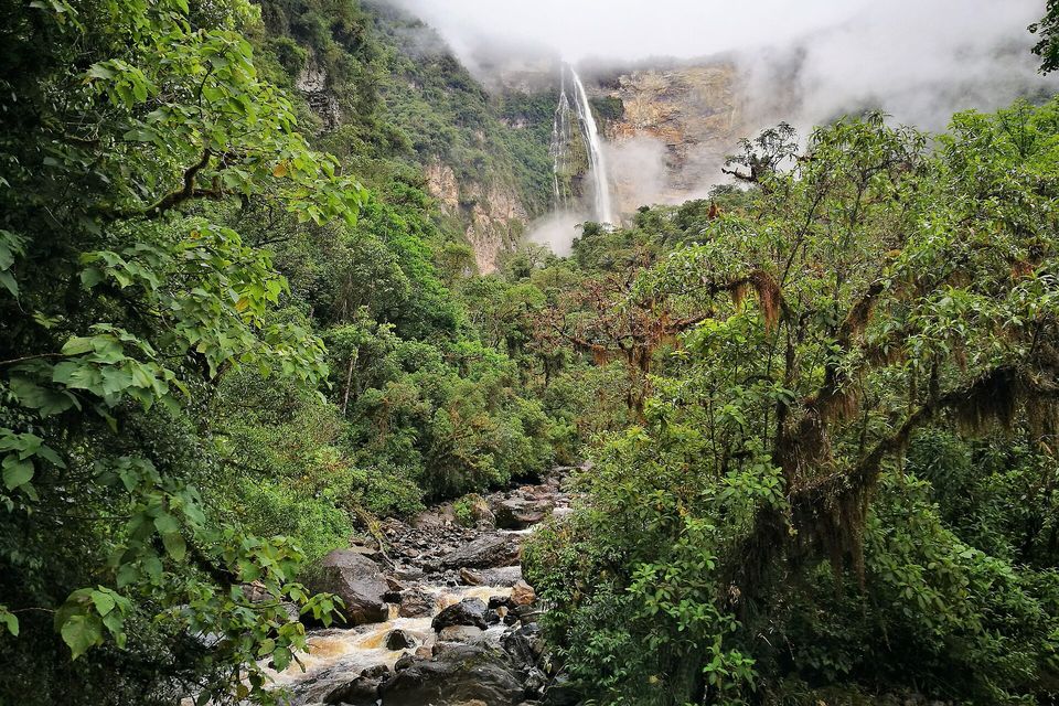 A rocky brown river running down out of cloud-forest greenery toward a tall waterfall on a cliff, its foot lost in mist, with moss-hung trees on both sides
