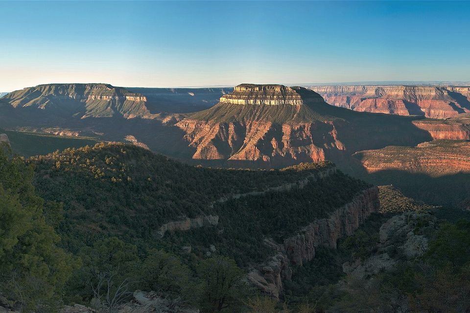 A forested rim in shadow in the foreground and a flat-topped butte lit gold beyond, under a pale morning sky