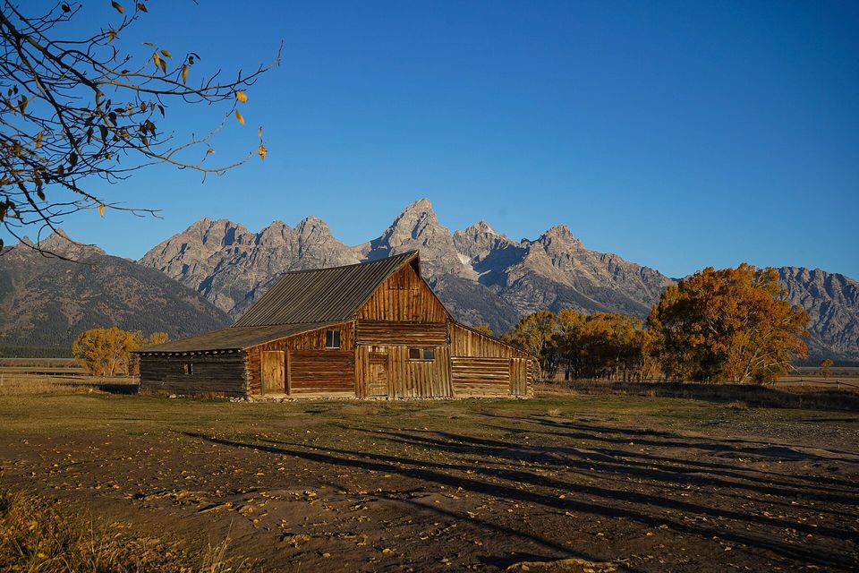 A weathered wooden barn in low autumn sun with golden cottonwoods, a jagged mountain range behind under a clear blue sky