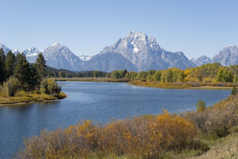 A mountain with a snow-streaked summit above a river bend with yellow aspens and willows under a blue sky