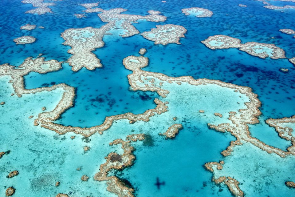 An aerial view of pale turquoise reef flats and winding reef rims set in deep blue water