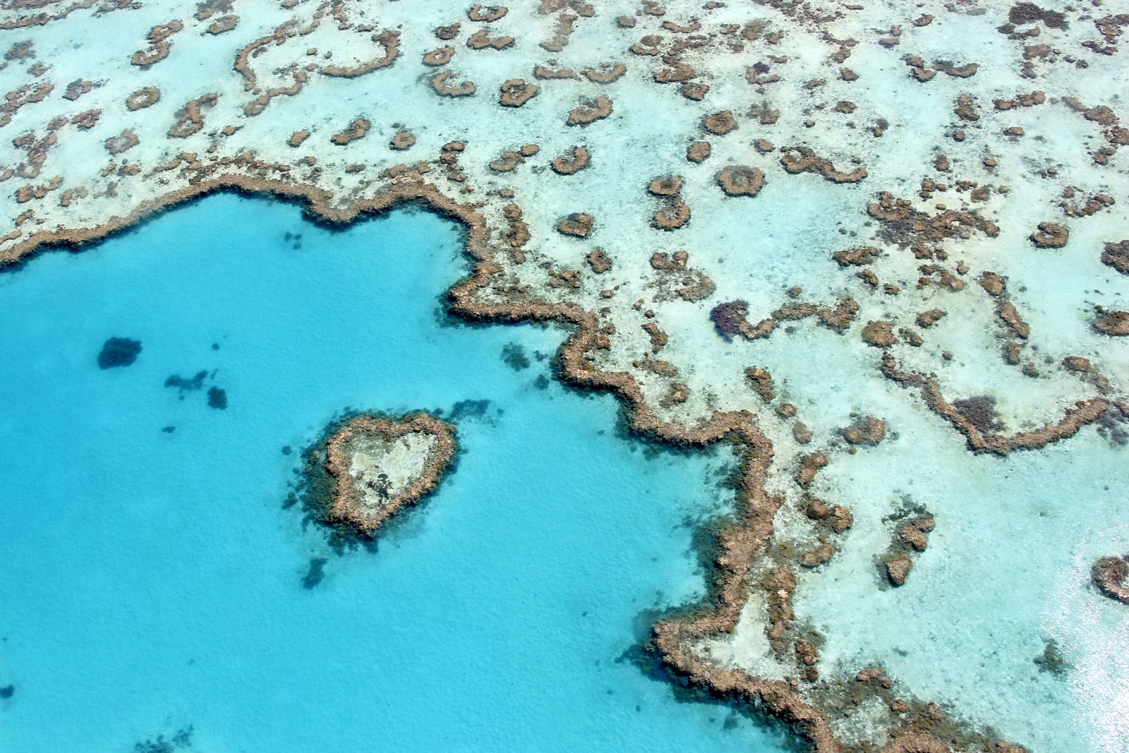 An aerial view of a small heart-shaped patch of coral in a pool of turquoise water, with a maze of pale reef flats and darker coral heads beyond