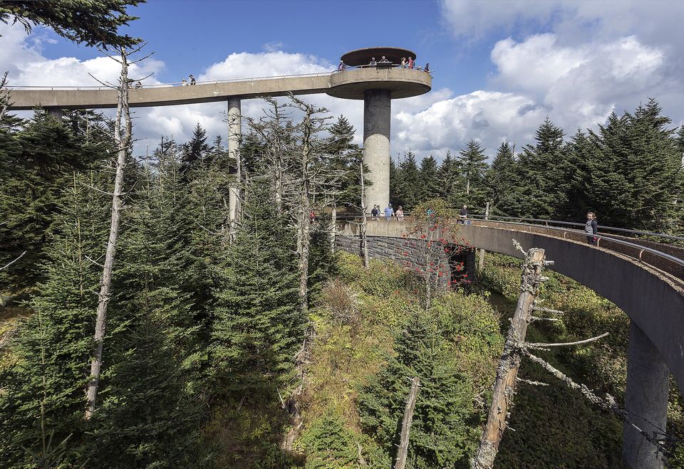 A round concrete observation platform on a tall pillar above spruce forest, a curved ramp running to it, under a blue sky with cloud