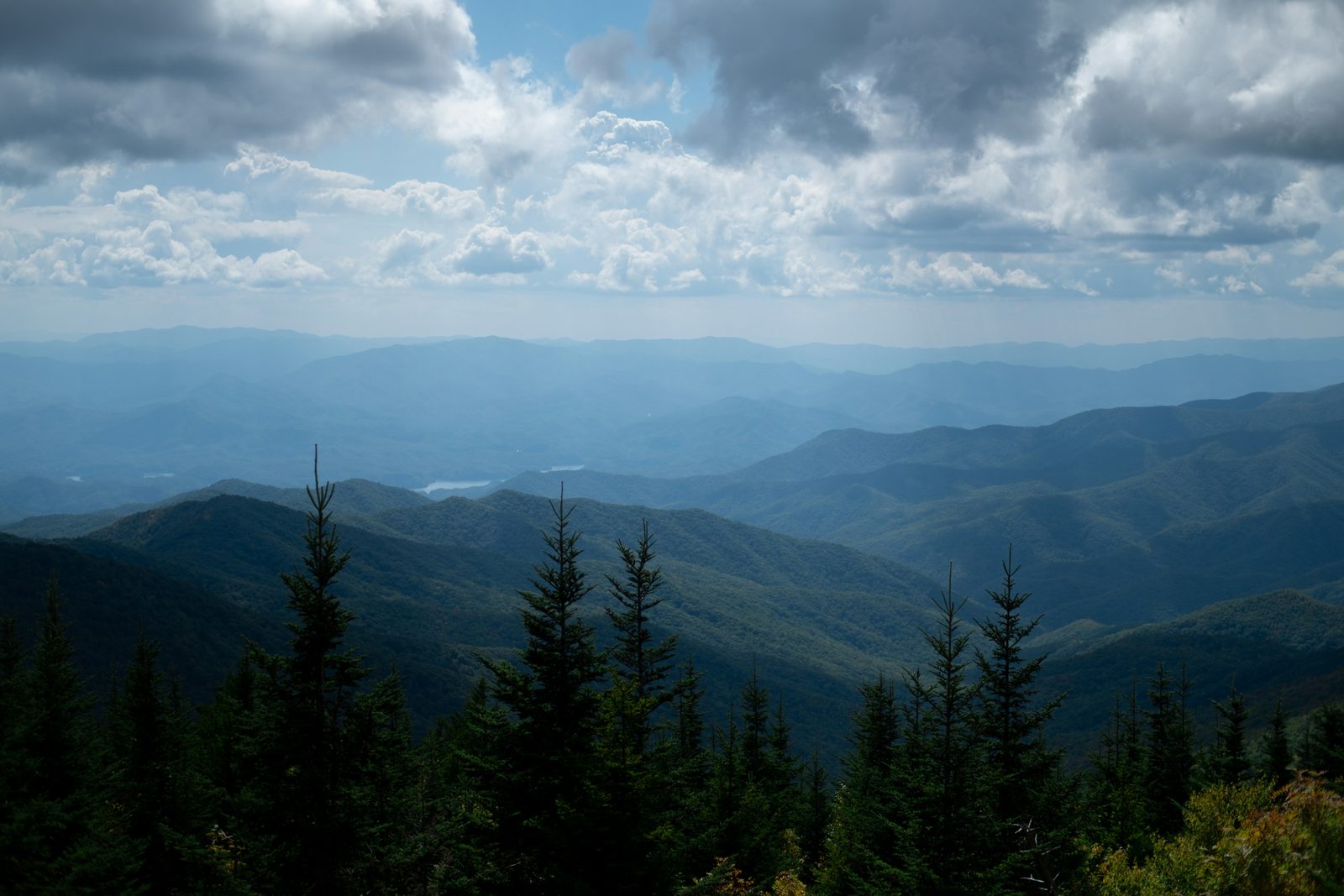 Layered blue mountain ridges receding under broken cloud, a dark line of spruce in the foreground and a lake glinting far below