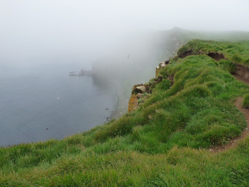 A cliff edge on Grímsey in mist above the sea