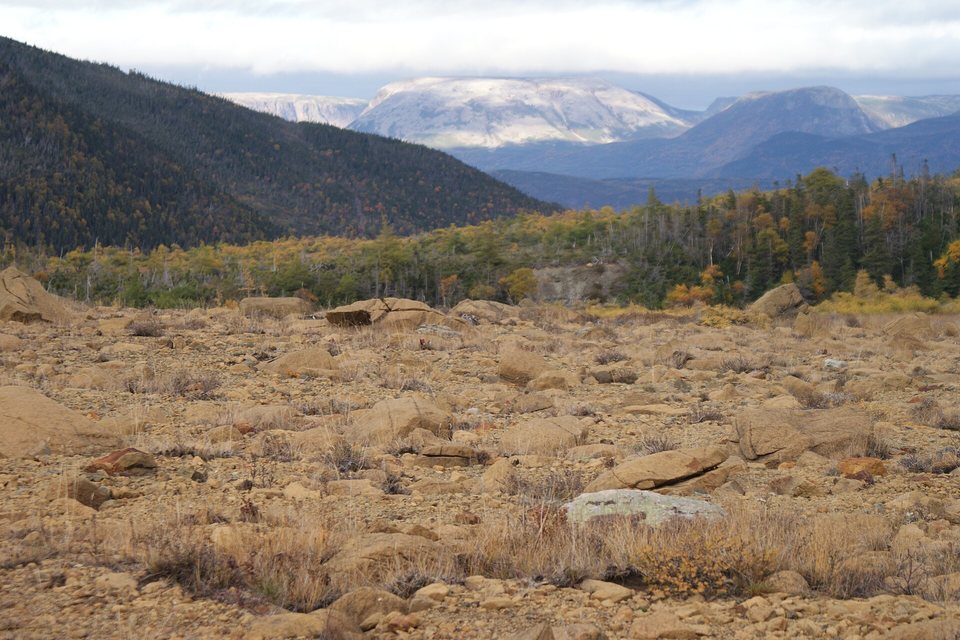 A field of pale orange boulders and dry grass in front of autumn-coloured forest, a flat-topped snowy mountain in the distance