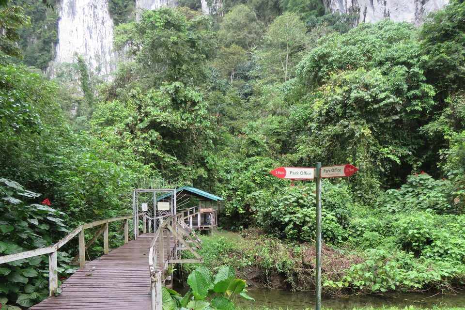 A wet wooden boardwalk running into rainforest beneath pale limestone cliffs, a small signpost on the grass beside it