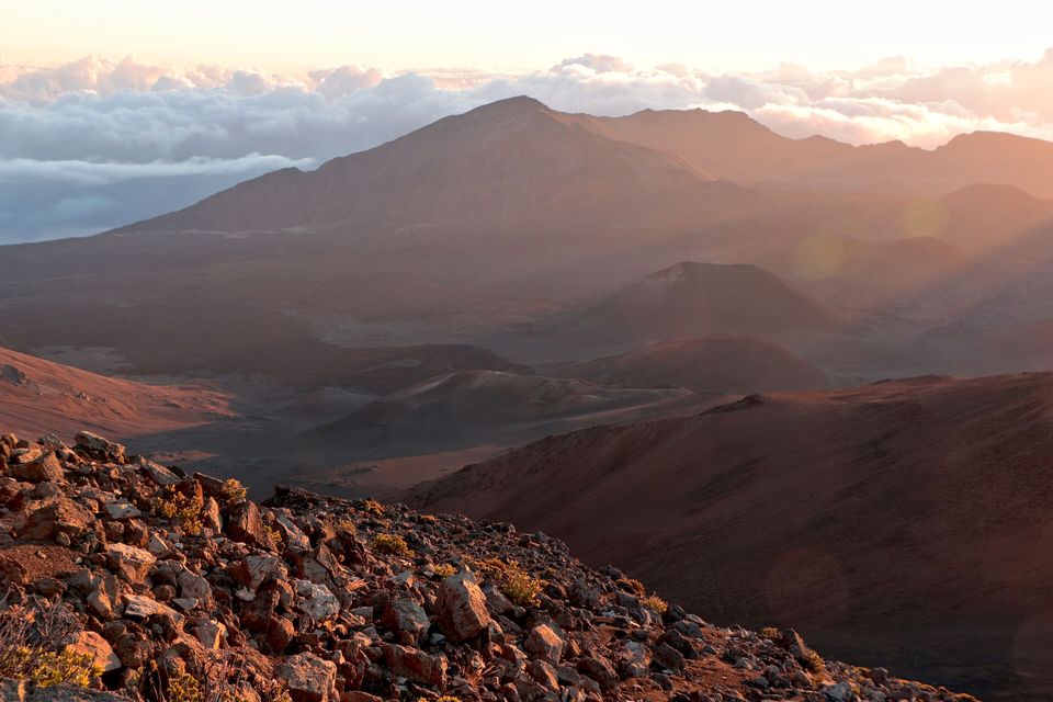 Cinder cones on a rust-coloured valley floor in pink dawn light under a cloud line
