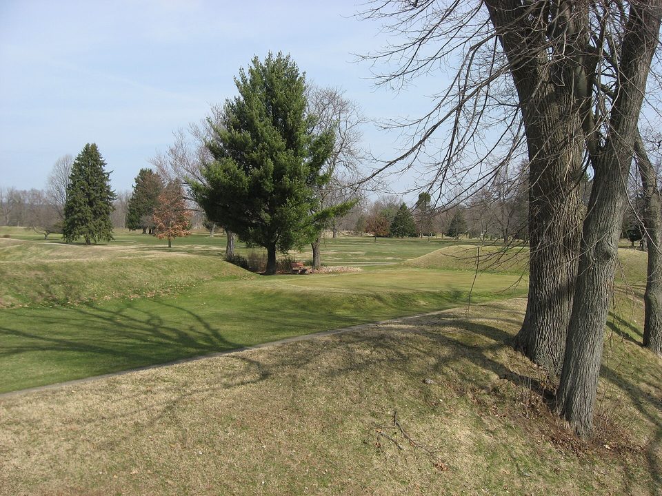 Long grass-covered embankments with a gap between them under bare trees in low spring light
