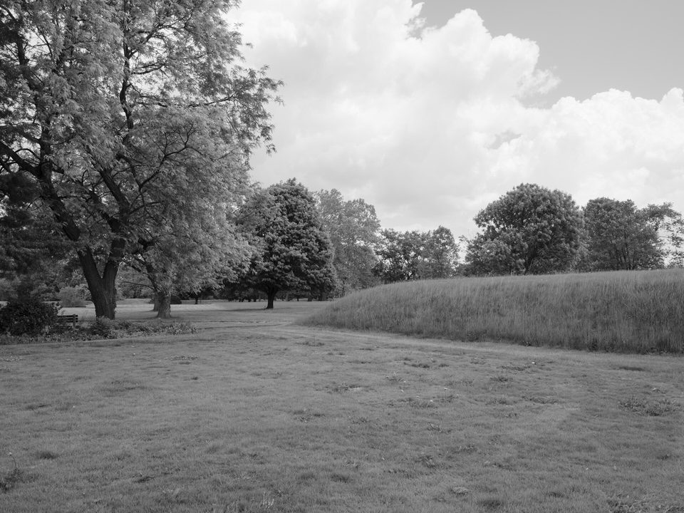 A grass-covered earthen embankment beside a mown field under trees and cloud, in black and white