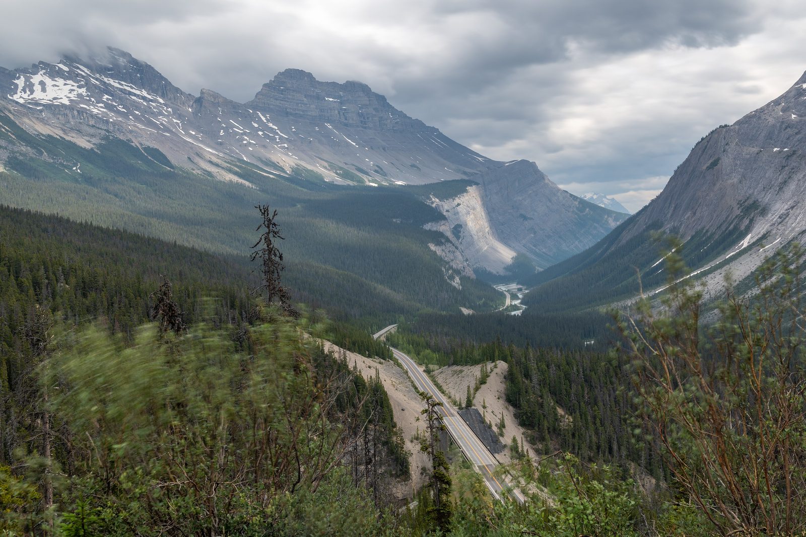 The Icefields Parkway running down a deep forested valley between grey limestone mountains streaked with snow, under heavy cloud, wind-blurred shrubs in the foreground
