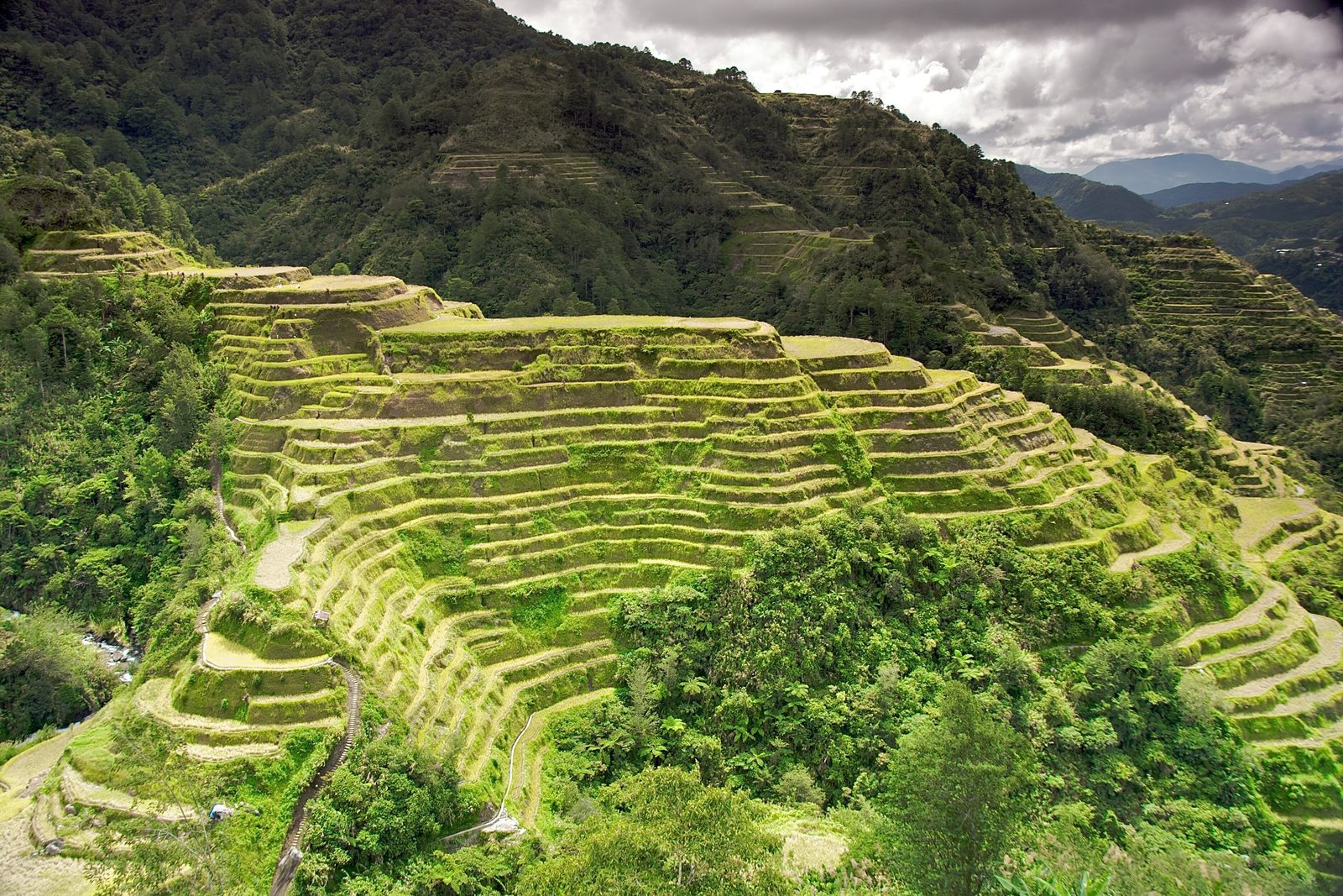 Stepped green rice terraces curving around a steep mountainside in Banaue, under a cloudy sky