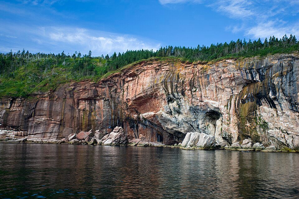 Banded cliffs of pink and grey rock with a sea cave at the waterline rise under spruce forest from a calm sea, blue sky above
