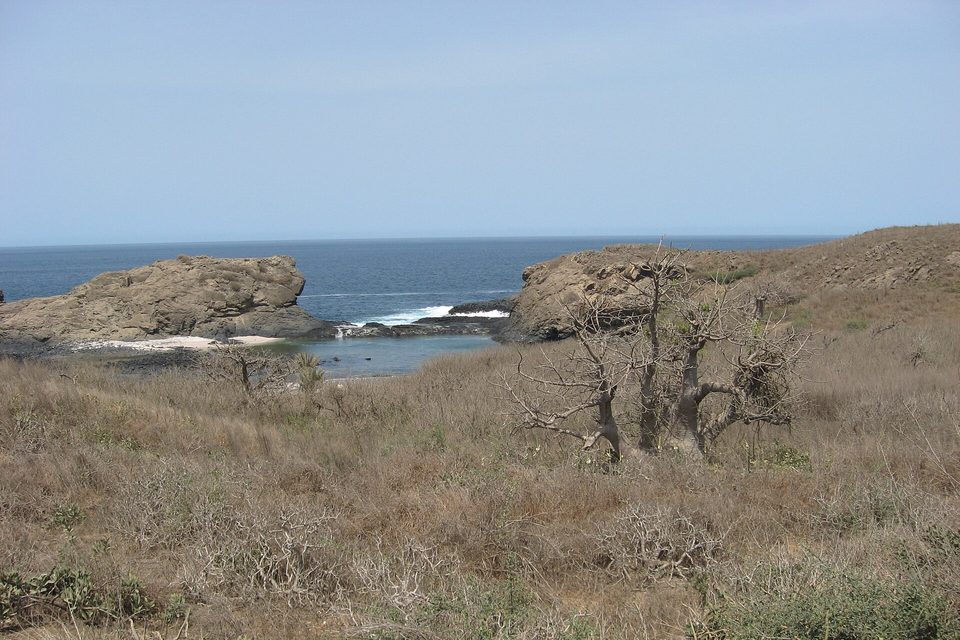 Dry golden grass and bare shrubs slope down to rocky outcrops and blue sea