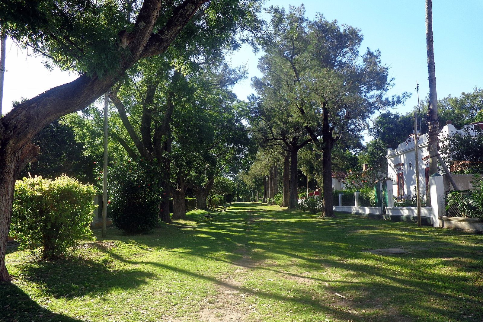 A grassy avenue runs into deep shade under old trees, a white colonial house with ornate parapets at right, in low warm light