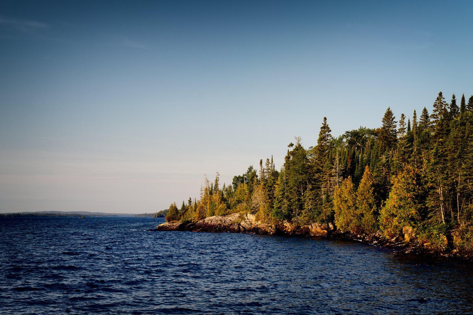 A low rock headland covered in dense spruce and fir running out into the deep blue water of a large lake under a pale sky