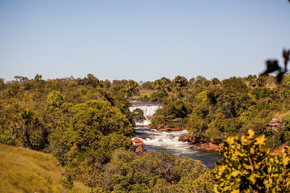 A small white waterfall on a river far below, seen over green cerrado trees and palms, a blue sky above