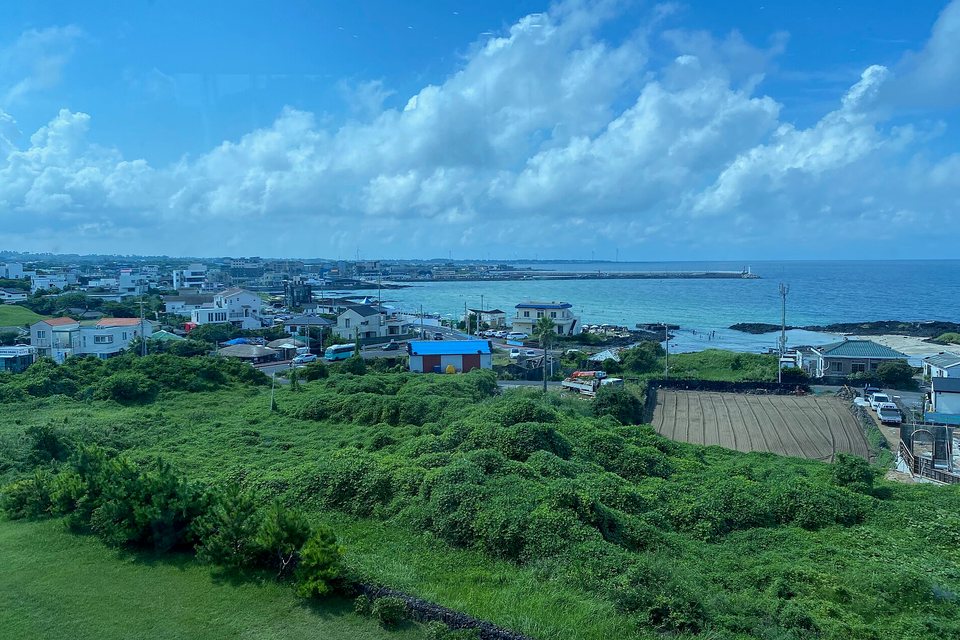 A seaside village of low white houses and a harbour wall on a blue sea, green scrub in the foreground