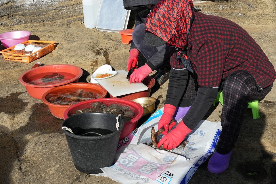 Two women in hoods and red rubber gloves crouched on flat rock, cutting shellfish beside orange tubs of water