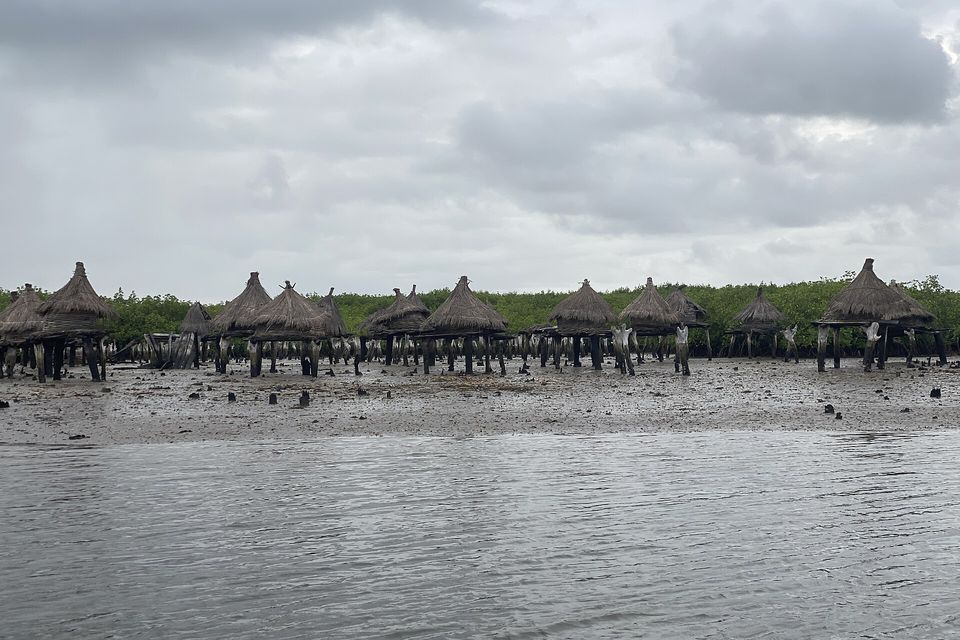 A row of round thatched granaries stands on wooden stilts on a muddy flat at the water's edge, mangroves behind under grey cloud