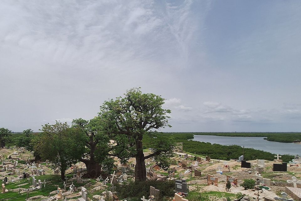 Graves with crosses and plain headstones spread across a mound of white shells among baobab trees, a lagoon and mangroves beyond under a wide grey sky