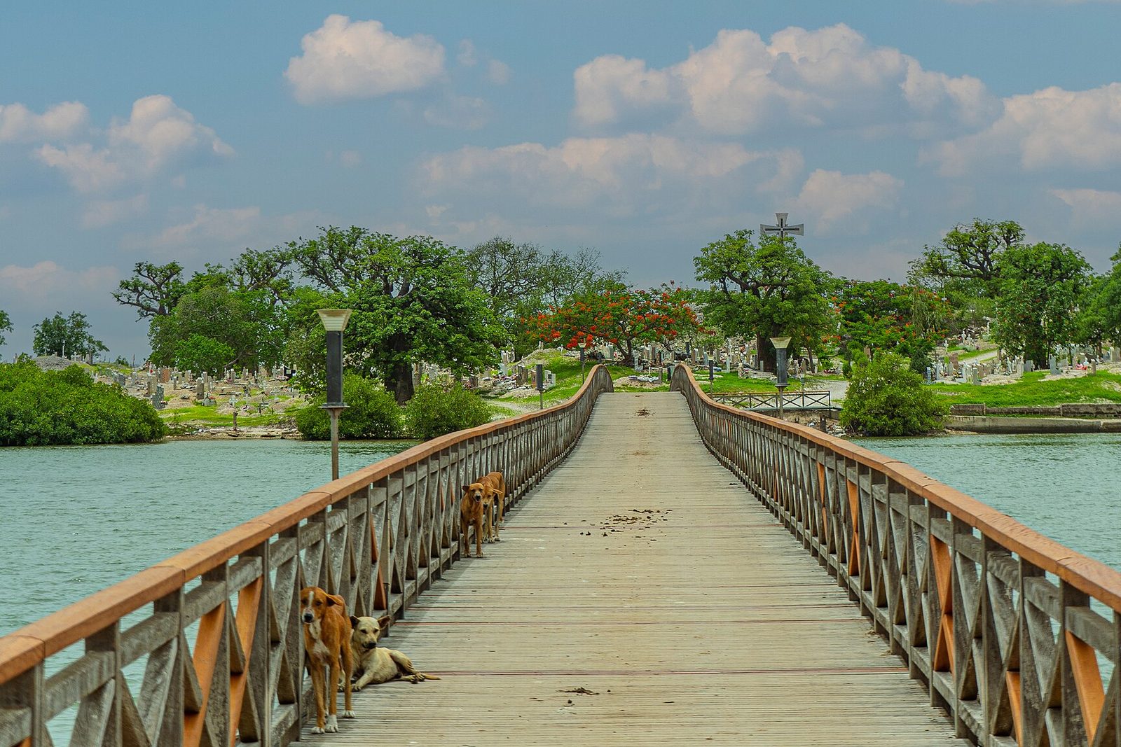 A long wooden footbridge with a rust-orange rail runs straight across turquoise water to an island of baobabs, a flame tree in red flower and white graves, a tall cross on the rise