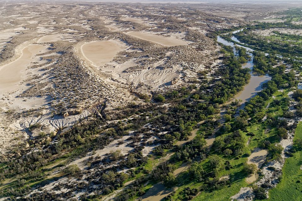 Floodwater channels threading between green trees and pale sand dunes, seen from the air