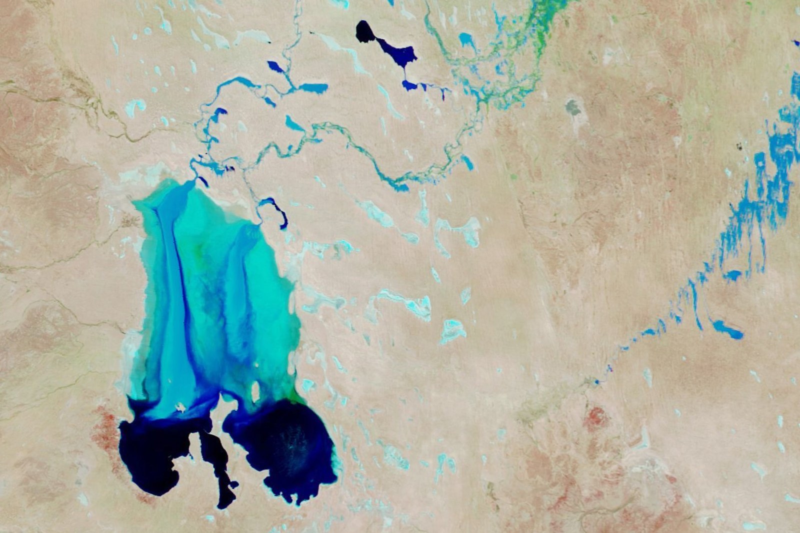 A false-colour satellite view of a filled desert lake, shallow water pale turquoise and deep water navy, with flooded channels threading in across pale tan desert