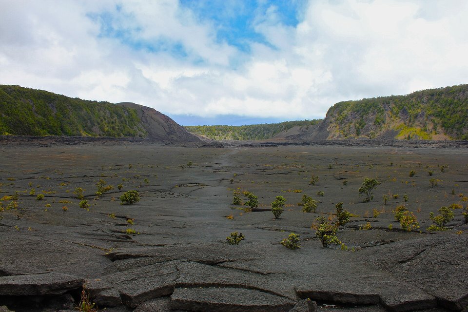 A flat dark grey crater floor cracked into plates and dotted with small green shrubs, between forested crater walls under a cloudy blue sky