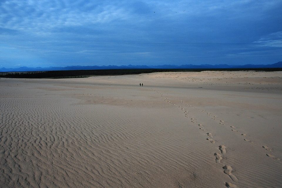 Wind-rippled sand stretches to a dark band of forest and distant mountains; two tiny figures are far off