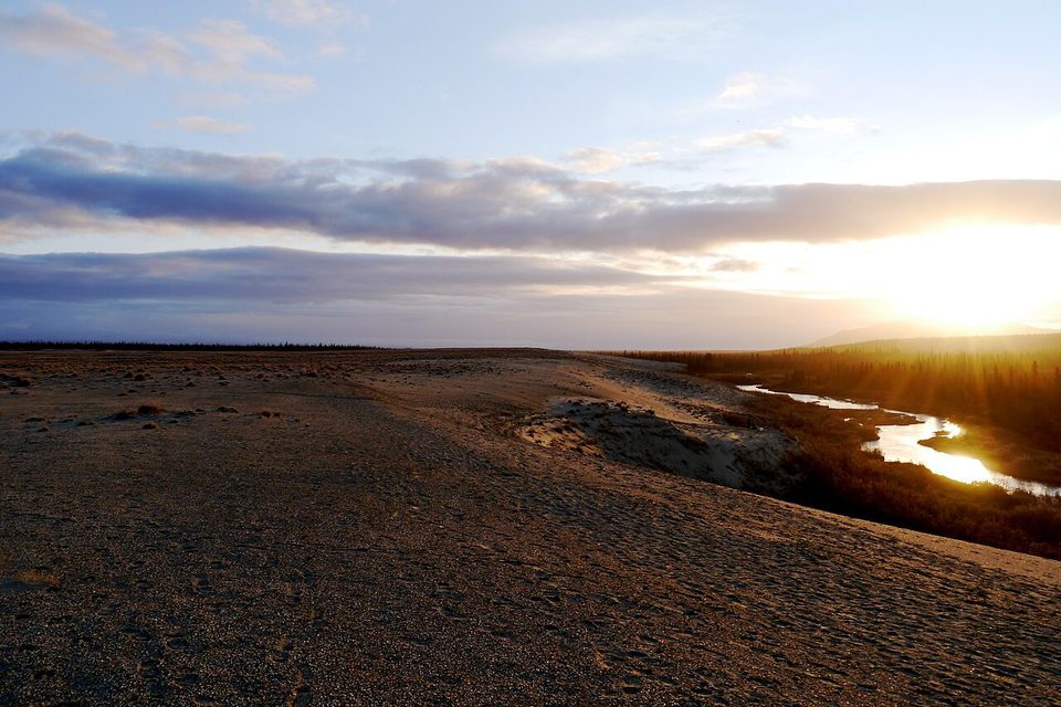 Low sun over a broad dune crest, a creek glinting among dark trees