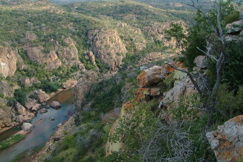 A river winding through a rocky wooded gorge seen from a high lookout, orange lichen-covered boulders in the foreground