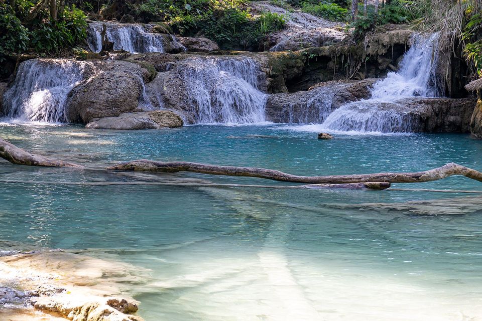 A shallow turquoise pool with a fallen tree trunk lying across the milky water, small cascades tumbling over pale rock ledges into it, and forest behind