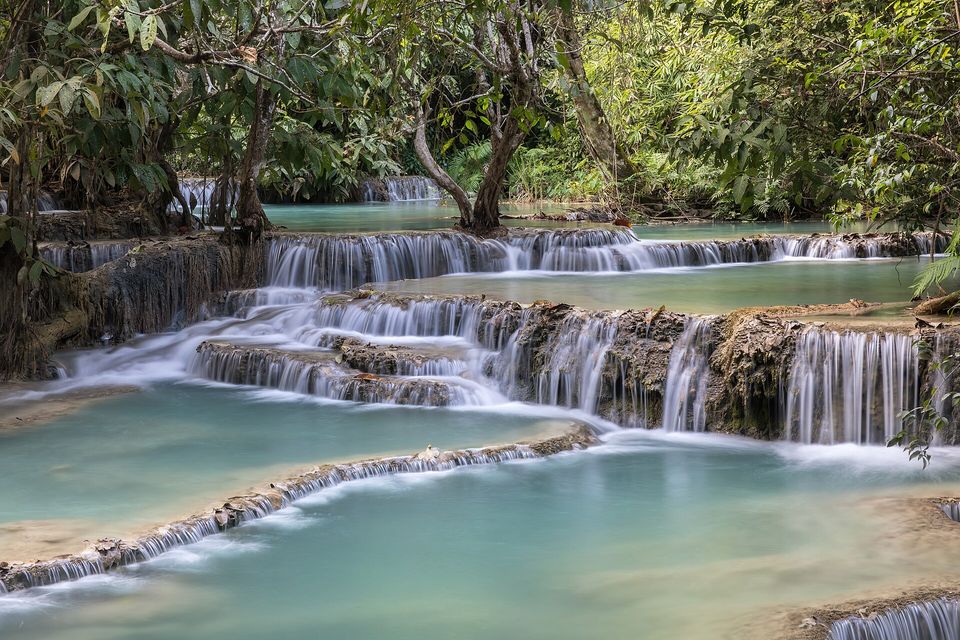 Shallow terraces of pale rock with curved rims, milky turquoise water spilling from one pool to the next, trees behind