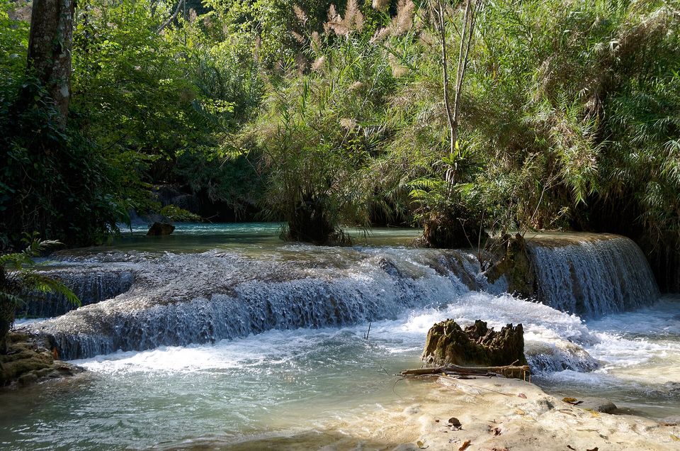 Foaming water pouring over a wide pale ledge of tufa into a blue-green pool, with a mossy stump in the stream and bamboo behind