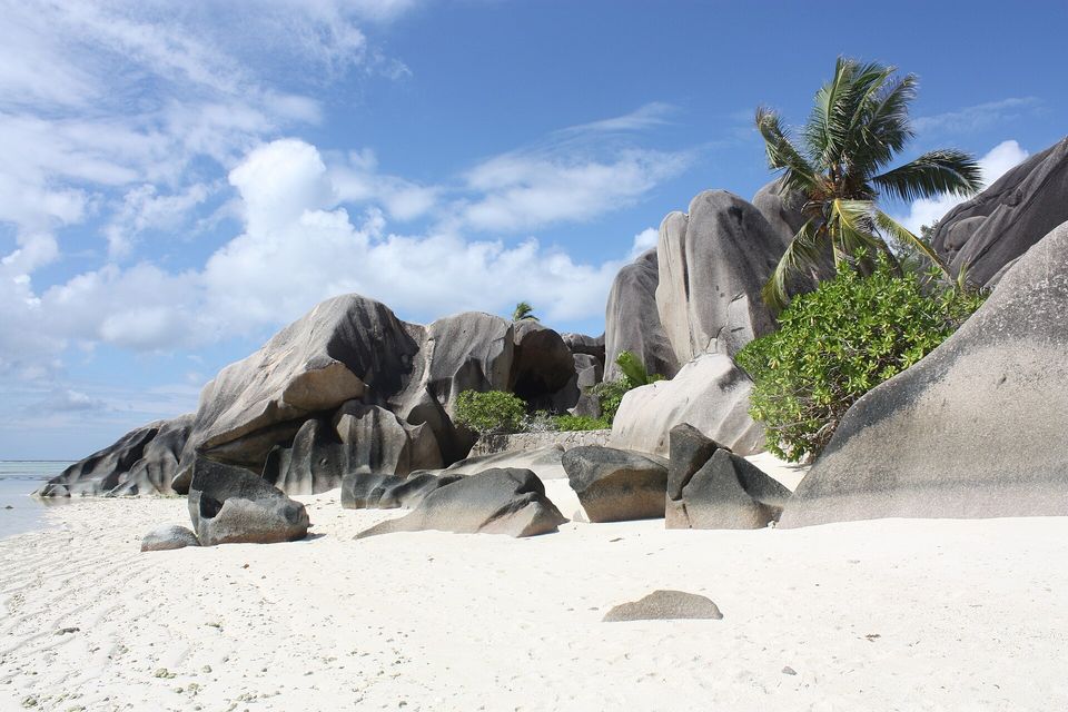Great grey granite boulders on white sand with a palm and green scrub under a blue sky with cloud