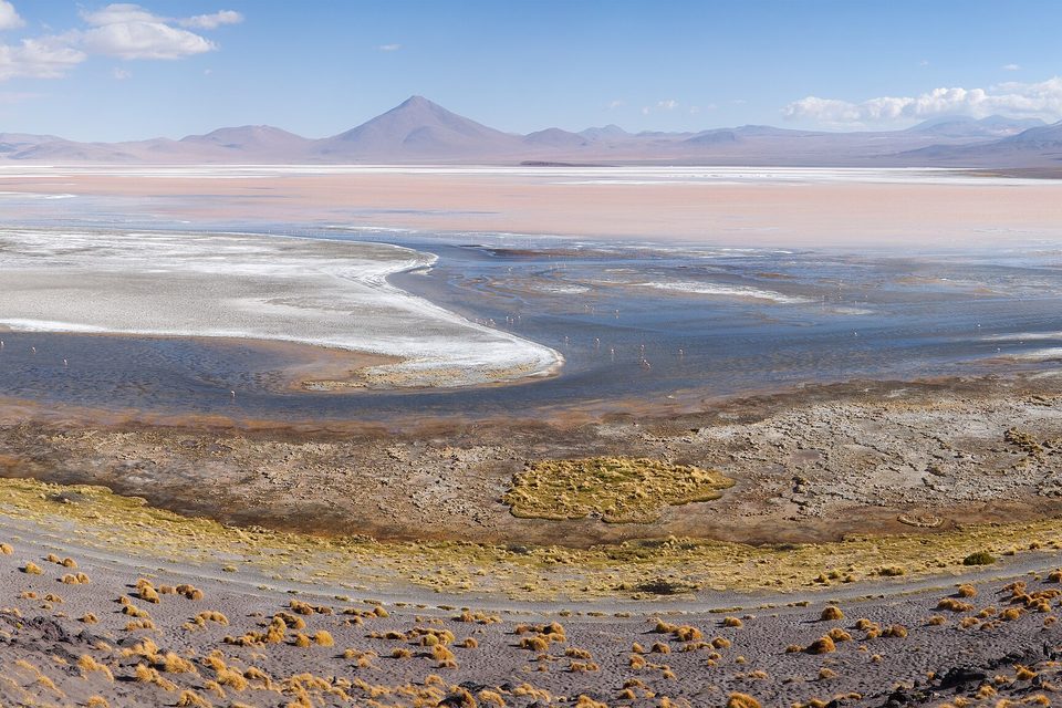 From a slope of golden grass, a lagoon of pink and grey water with white mineral banks stretches to volcanic peaks