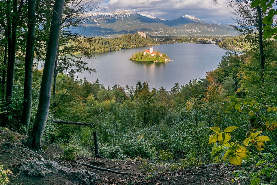 A small island with a church tower in a green lake, framed by beech woods, snow on the Julian Alps beyond