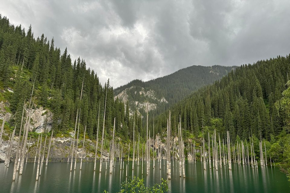Bleached bare trunks standing in dark still water below forested slopes, a heavy grey cloud over the ridge