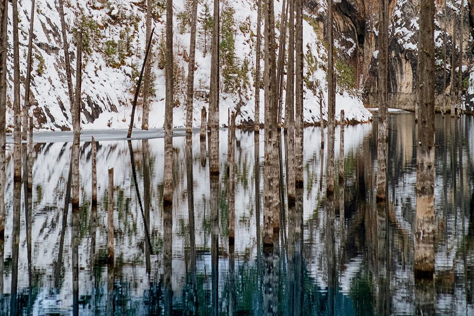 Pale bare trunks standing in still water below a snow-covered rock slope, their reflections stretching down the frame