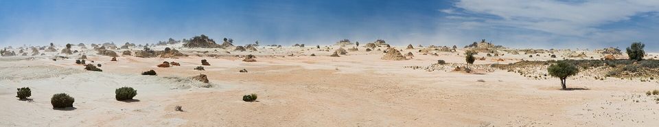 A long panorama of a pale sandy plain dotted with saltbush, the low line of eroded dunes stretching across the horizon under a blue sky