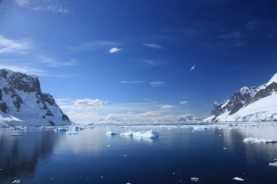 Calm dark-blue water scattered with small icebergs between snowy headlands under a deep-blue sky