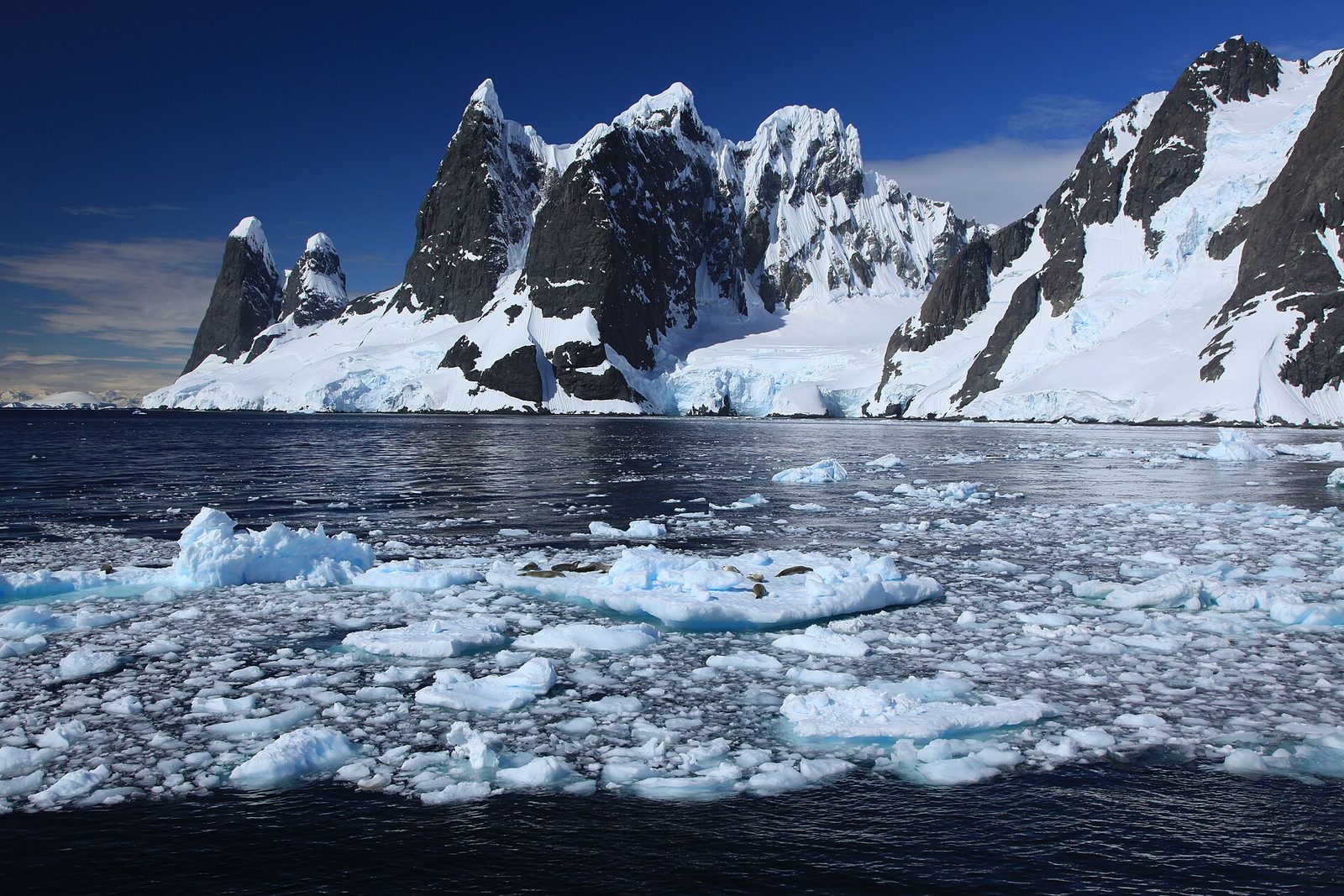 Black rock spires dusted with snow rise behind a field of floating ice where seals rest