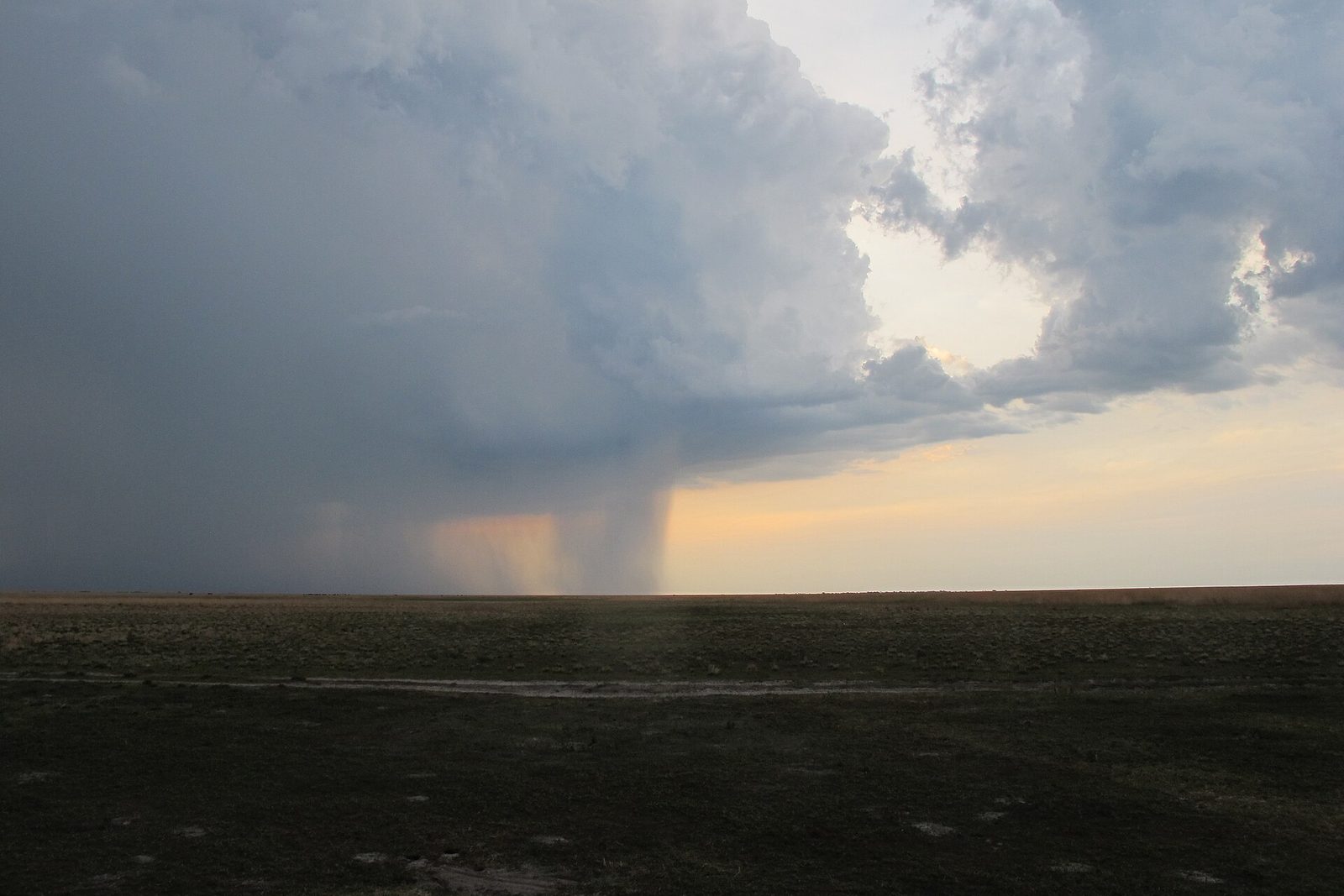 A rain shaft hanging from a dark storm cloud over a dead-flat grass plain at dusk, sunlit at its base, a pale track across the grass