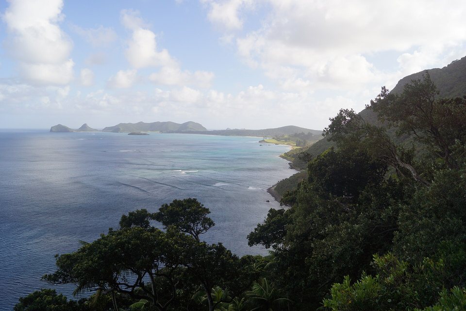 A calm blue lagoon and a long green shore seen from a forested slope, low islands and hills on the far side