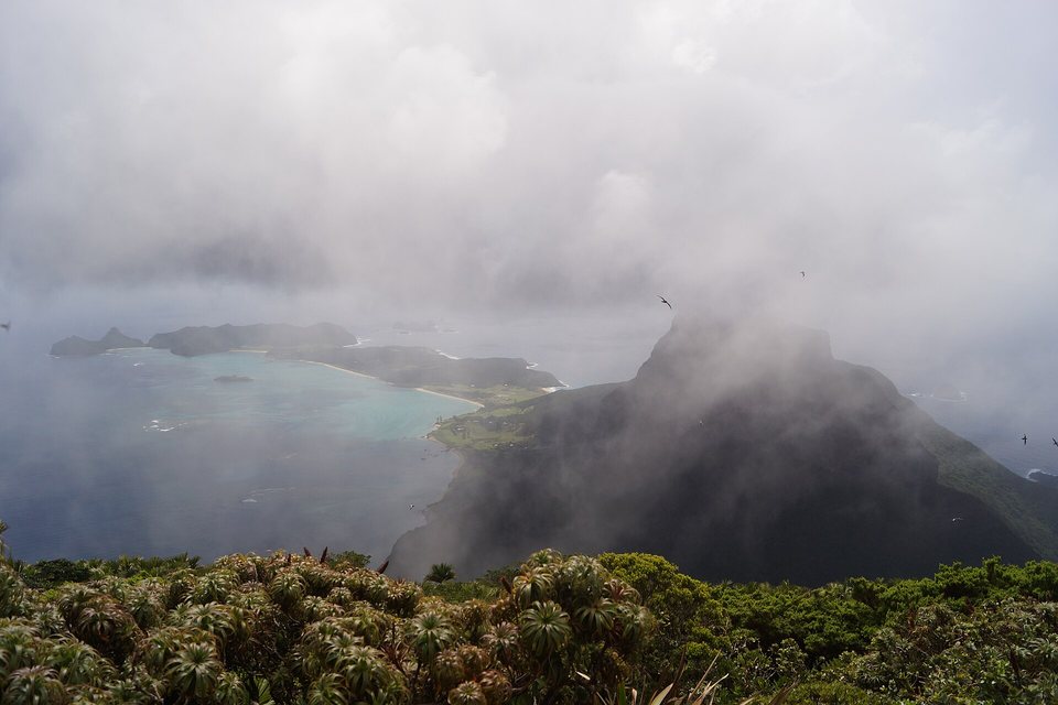 A dark forested mountain wreathed in white cloud, a turquoise lagoon and low green island stretching beyond, palms in the foreground