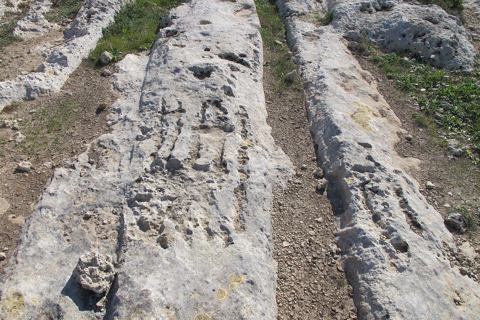 Two deep grooves running away between raised ridges of pale limestone, weeds along the floor of the left groove and bare earth in the right